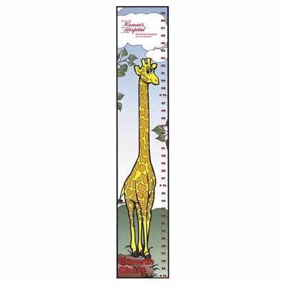 Picture of Giraffe Growth Chart