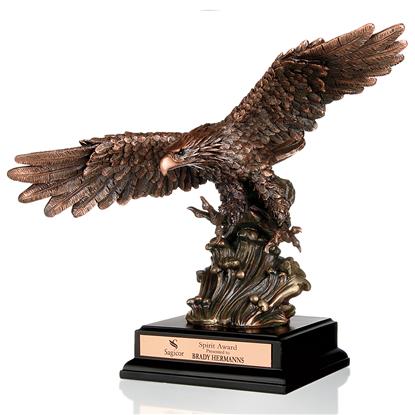 Picture of Soaring Heights Award