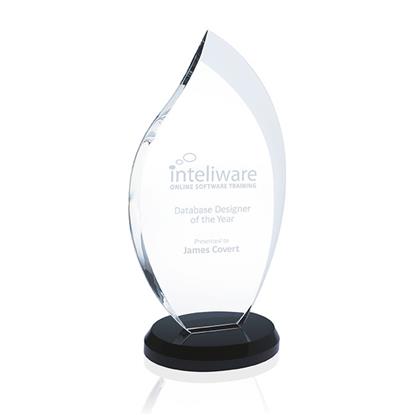 Picture of Innovation Award - Medium